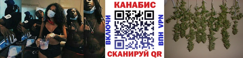 Канабис план  Грозный 